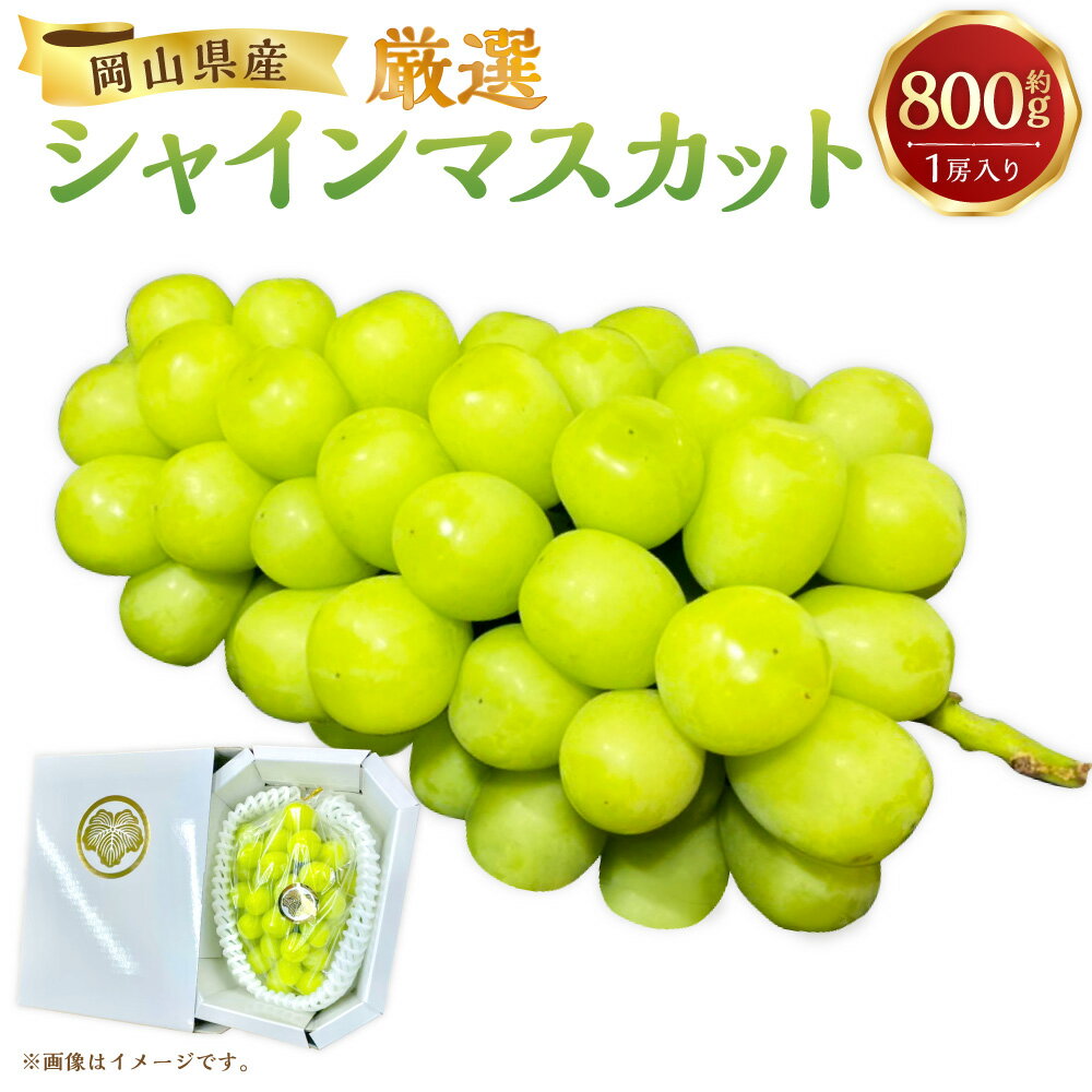 【先行予約】厳選 シャインマスカット 約800g 1房入り マスカット ぶどう ブドウ フルーツ 果実 くだもの 果物 お取り寄せ 常温 岡山県 美咲町 送料無料【2026年9月下旬-10月下旬発送予定】