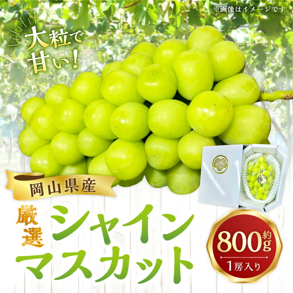 【ふるさと納税】【先行予約】厳選 シャインマスカット 約800g 1房入り マスカット ぶどう ブドウ フルーツ 果実 くだもの 果物 お取り寄せ 常温 岡山県 美咲町 送料無料【2026年9月下旬-10月下旬発送予定】 サムネイル2