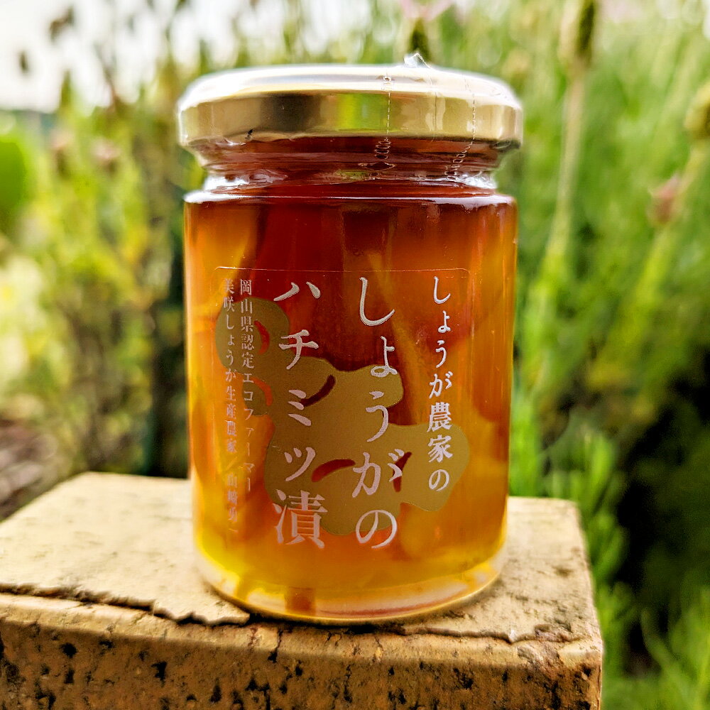 【ふるさと納税】しょうがの はちみつ漬け 約140g×2個 セット 計280g 生姜 しょうが ジンジャー 野菜 蜂蜜 はちみつ ハニー シロップ 調味料 おろし生姜 国産 岡山県 美咲町 送料無料 - 画像3