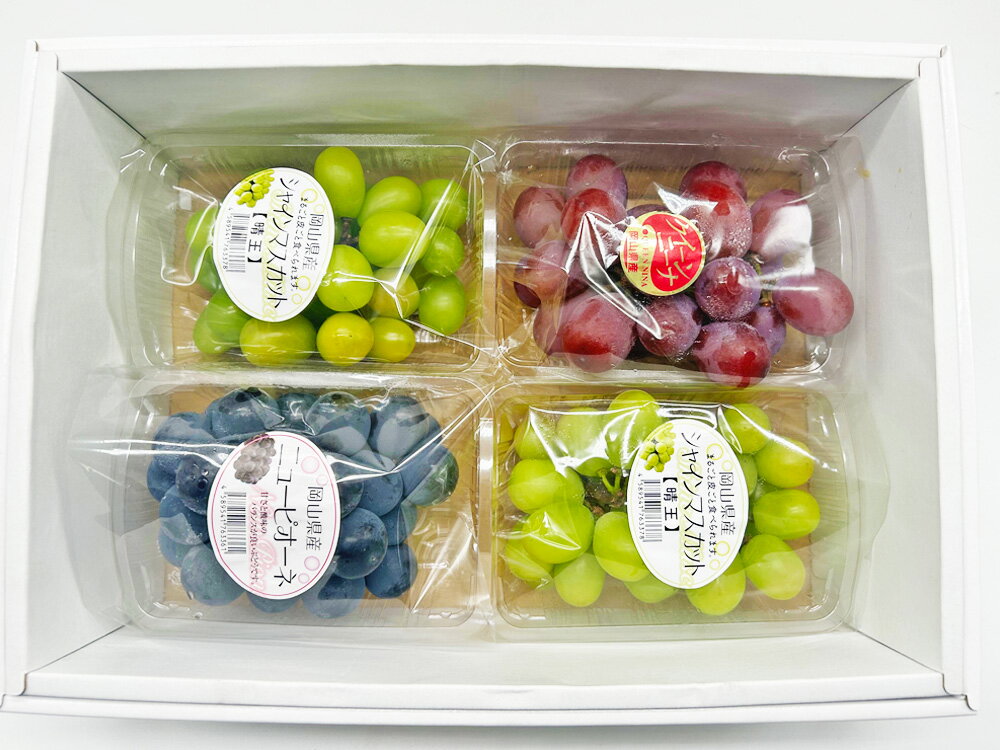 【ふるさと納税】岡山県産 ぶどう パック 詰合せ 3種 4パック 合計4房 約1.2kg ニューピオーネ シャインマスカット 晴王 旬のぶどうお任せ セット ピオーネ マスカット フルーツ 詰め合わせ 食べ比べ 送料無料【2026年9月上旬～10月下旬発送予定】 サムネイル3