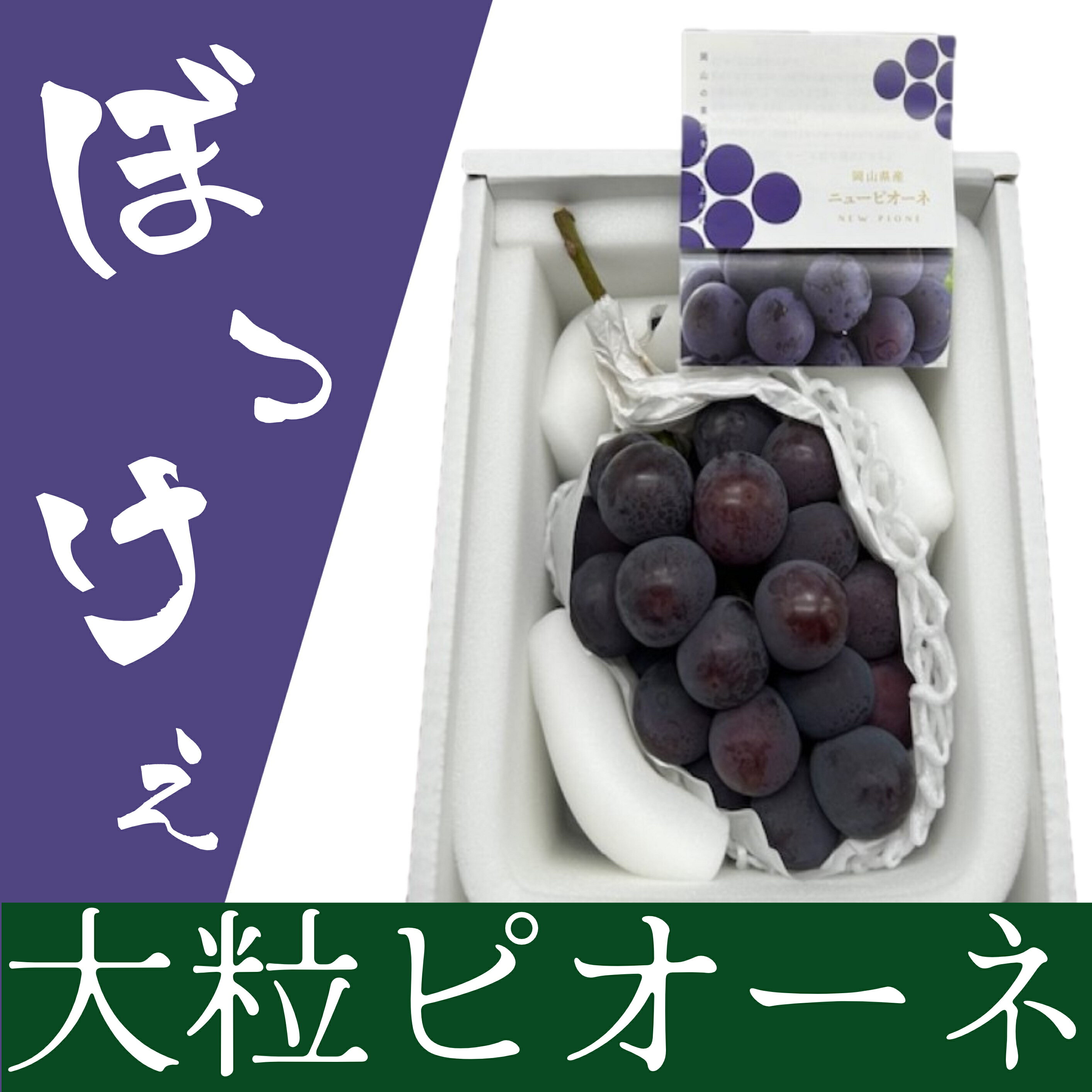 ぼっけえ 大粒 ニューピオーネ 1房 800g以上 化粧箱入り ぶどう ブドウ 葡萄 くだもの 果物 果実 フルーツ デザート おやつ ギフト 贈答 国産 岡山県 美咲町 冷蔵 送料無料 【2026年9月上旬～10月上旬迄発送予定】