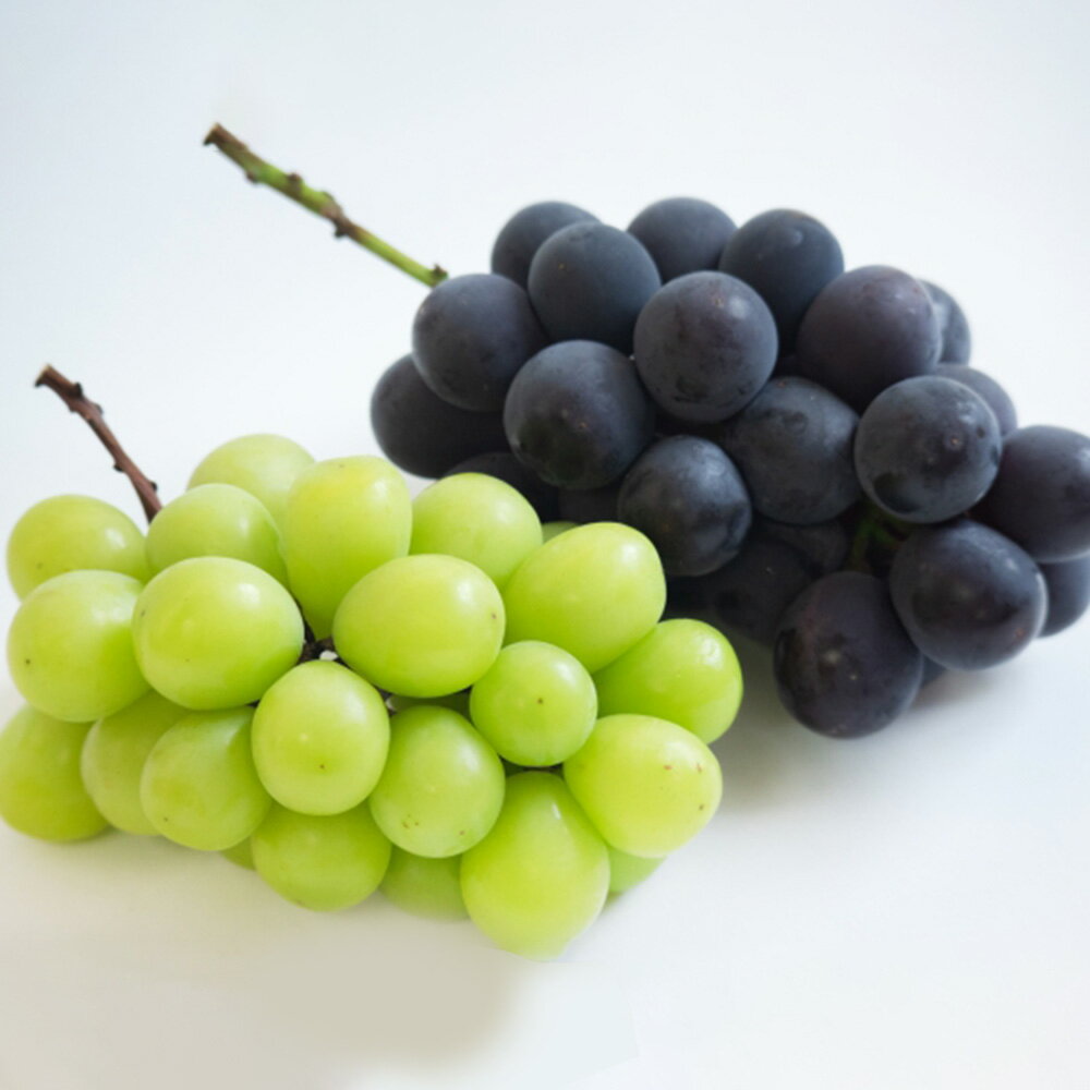 ニューピオーネ 2房・シャインマスカット 晴王 2房 詰め合わせ セット 化粧箱入り ぶどう 葡萄 くだもの 果物 果実 フルーツ デザート ギフト 贈答 冷蔵 国産 岡山県 美咲町 送料無料 【2026年9月上旬～10月上旬迄発送予定】