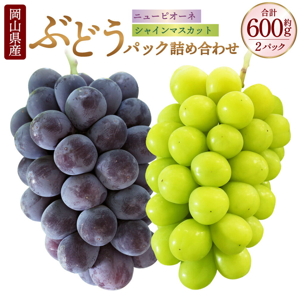 岡山県産 ぶどう パック 詰合せ 2種 2パック 合計2房 約600g ニューピオーネ シャインマスカット 晴王 各1房 各300g セット ピオーネ マスカット 果物 フルーツ 詰め合わせ 食べ比べ 送料無料【2026年9月上旬～10月下旬発送予定】
