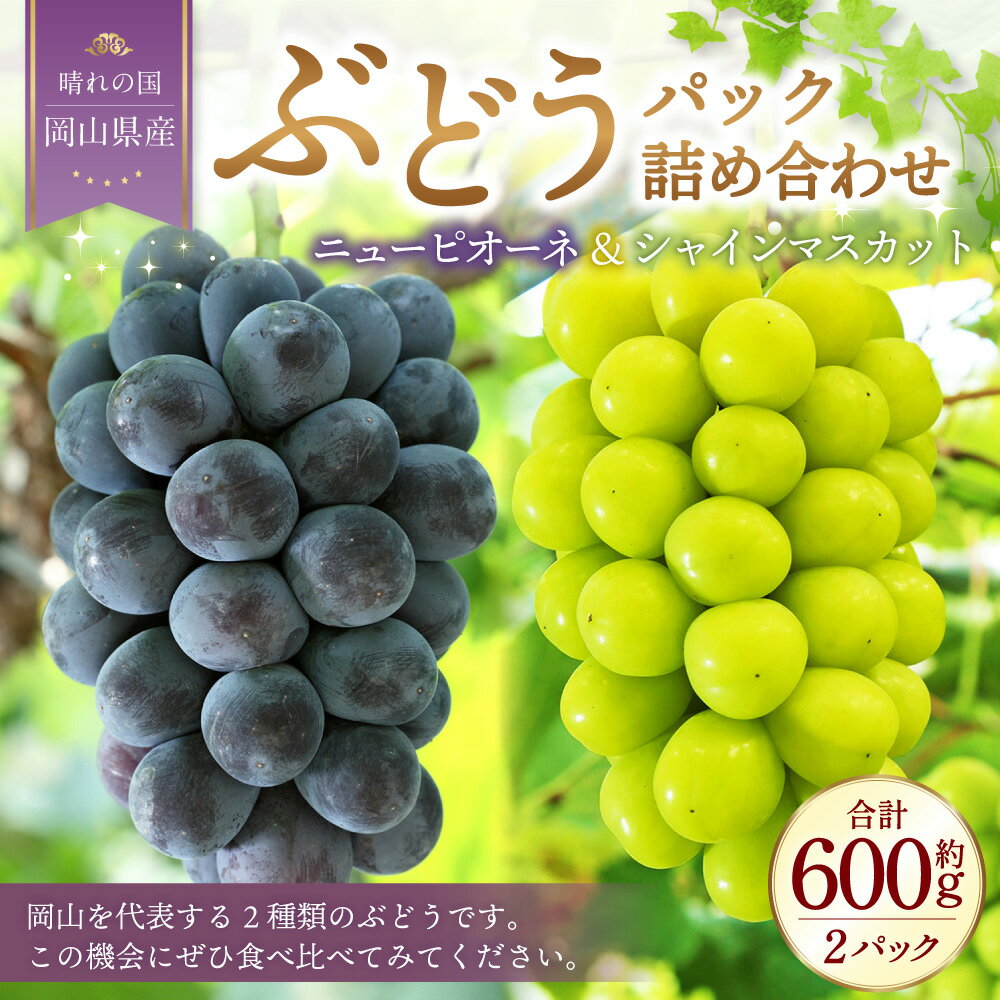 【ふるさと納税】岡山県産 ぶどう パック 詰合せ 2種 2パック 合計2房 約600g ニューピオーネ シャインマスカット 晴王 各1房 各300g セット ピオーネ マスカット 果物 フルーツ 詰め合わせ 食べ比べ 送料無料【2026年9月上旬～10月下旬発送予定】 サムネイル2