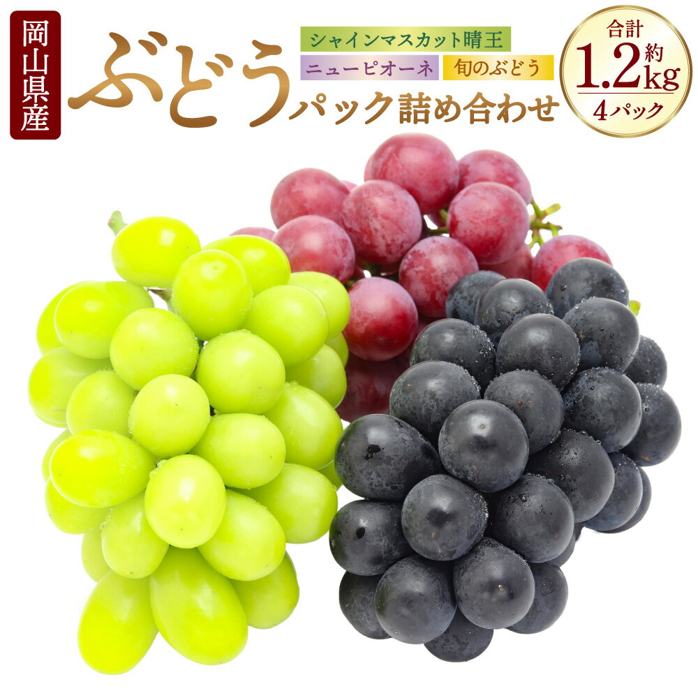 岡山県産 ぶどう パック 詰合せ 3種 4パック 合計4房 約1.2kg ニューピオーネ シャインマスカット 晴王 旬のぶどうお任せ セット ピオーネ マスカット フルーツ 詰め合わせ 食べ比べ 送料無料【2026年9月上旬～10月下旬発送予定】