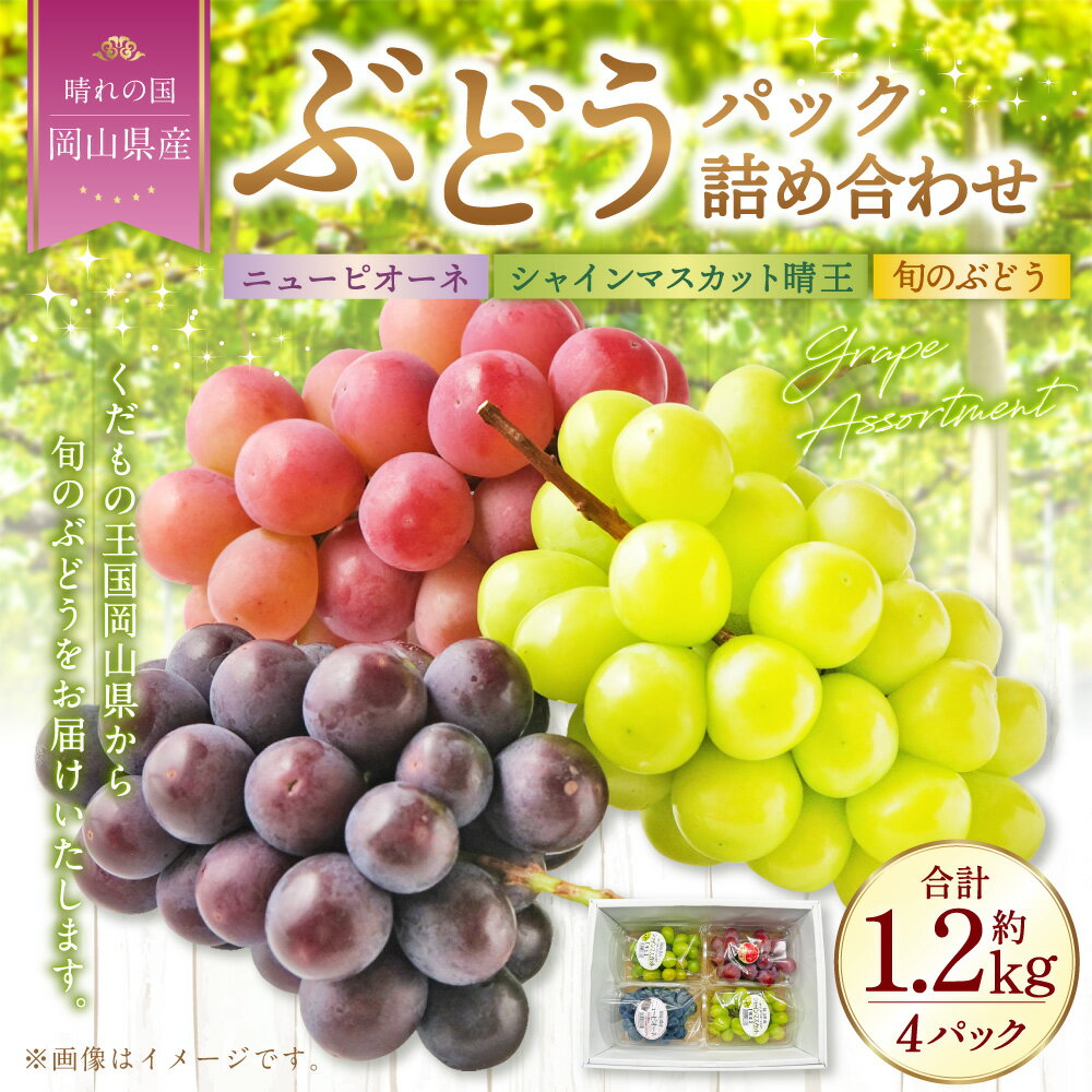 【ふるさと納税】岡山県産 ぶどう パック 詰合せ 3種 4パック 合計4房 約1.2kg ニューピオーネ シャインマスカット 晴王 旬のぶどうお任せ セット ピオーネ マスカット フルーツ 詰め合わせ 食べ比べ 送料無料【2026年9月上旬～10月下旬発送予定】 サムネイル2