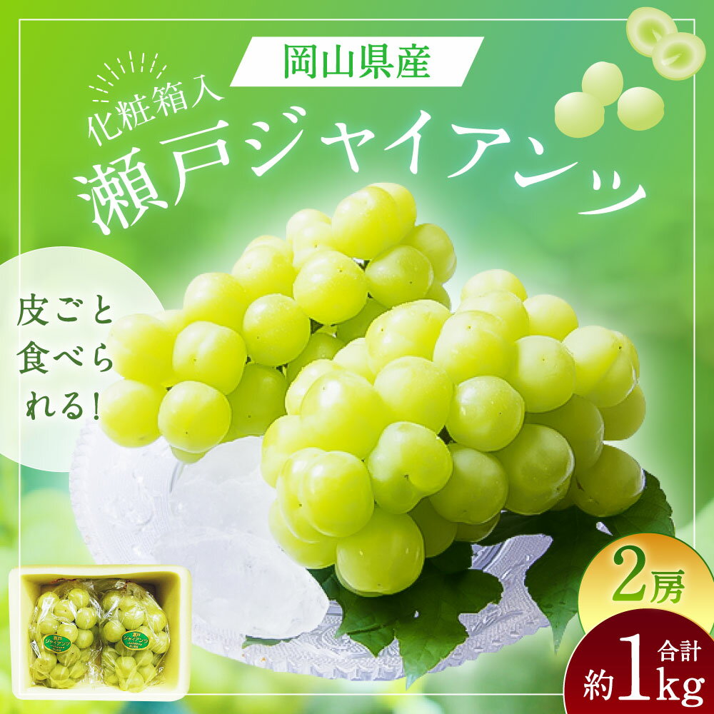 【ふるさと納税】瀬戸ジャイアンツ 2房 1房480g以上 合計約1kg 化粧箱入り ぶどう ブドウ 葡萄 くだもの 果物 果実 フルーツ ギフト 贈答 冷蔵 国産 岡山県 美咲町 送料無料【2026年9月上旬～10月上旬まで発送予定】 サムネイル2
