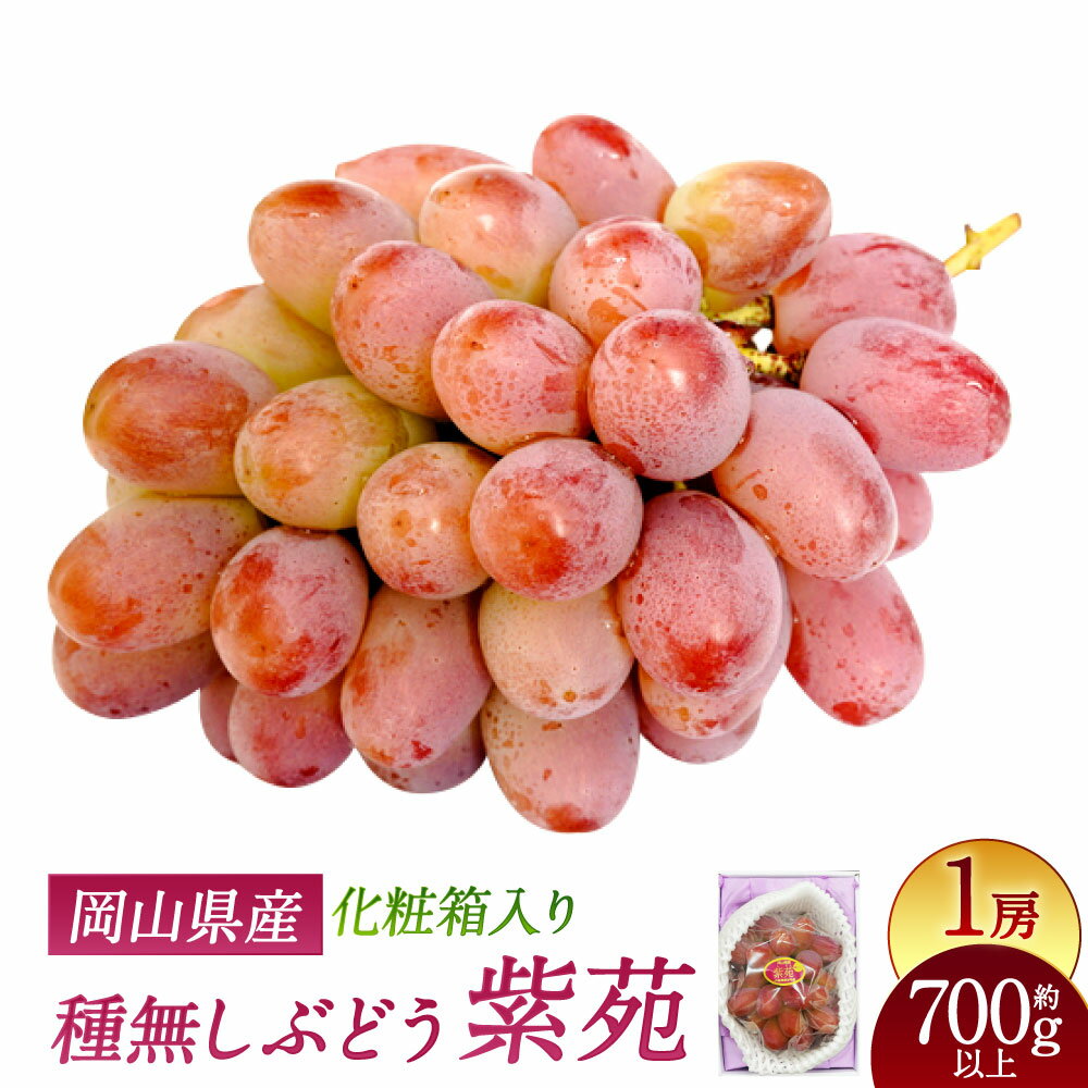 紫苑 1房 700g以上 化粧箱入り ぶどう ブドウ 葡萄 くだもの 果物 果実 フルーツ ギフト 贈答 冷蔵 国産 岡山県 美咲町 送料無料 【2026年10月下旬～11月下旬まで発送予定】
