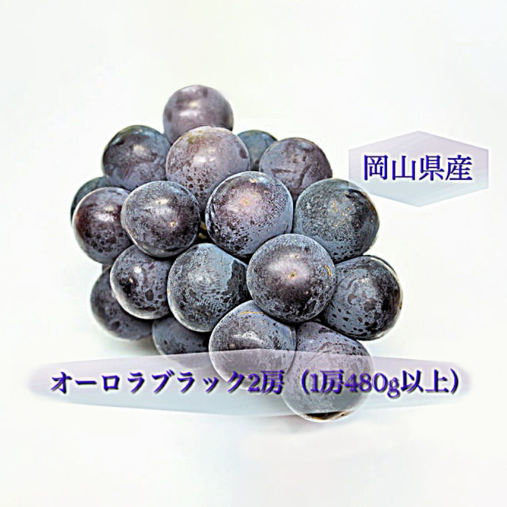 【ふるさと納税】オーロラブラック 2房 1房480g以上 化粧箱入り 大粒 ぶどう ブドウ 葡萄 くだもの 果物 果実 フルーツ ギフト 贈答 冷蔵 国産 岡山県 美咲町 送料無料 【2026年8月下旬～9月下旬迄発送予定】 サムネイル3