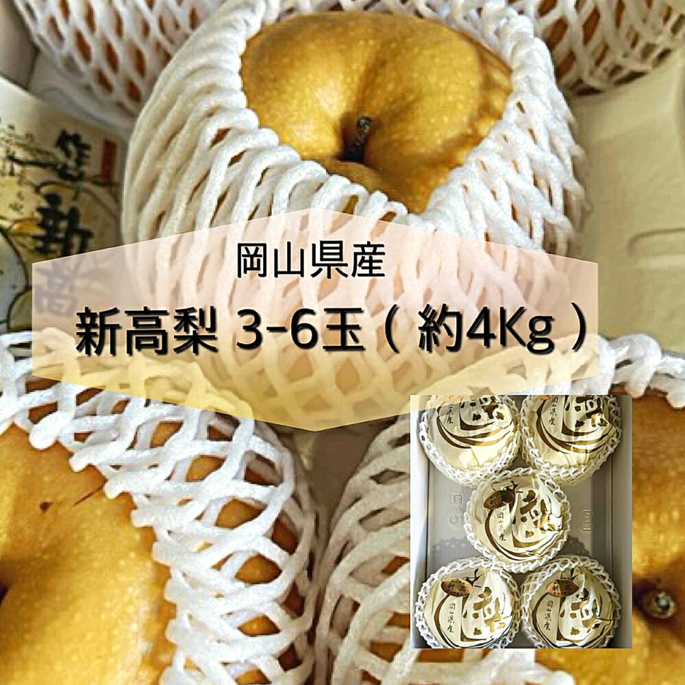 新高梨 3～6玉 約4kg 化粧箱入り 大玉 和梨 ナシ なし くだもの 果物 果実 フルーツ ギフト 贈答 岡山県 美咲町 送料無料 【2026年9月下旬～11月上旬迄発送予定