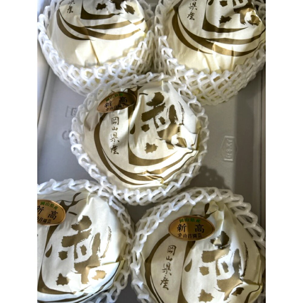 【ふるさと納税】新高梨 3～6玉 約4kg 化粧箱入り 大玉 和梨 ナシ なし くだもの 果物 果実 フルーツ ギフト 贈答 岡山県 美咲町 送料無料 【2026年9月下旬～11月上旬迄発送予定 サムネイル3