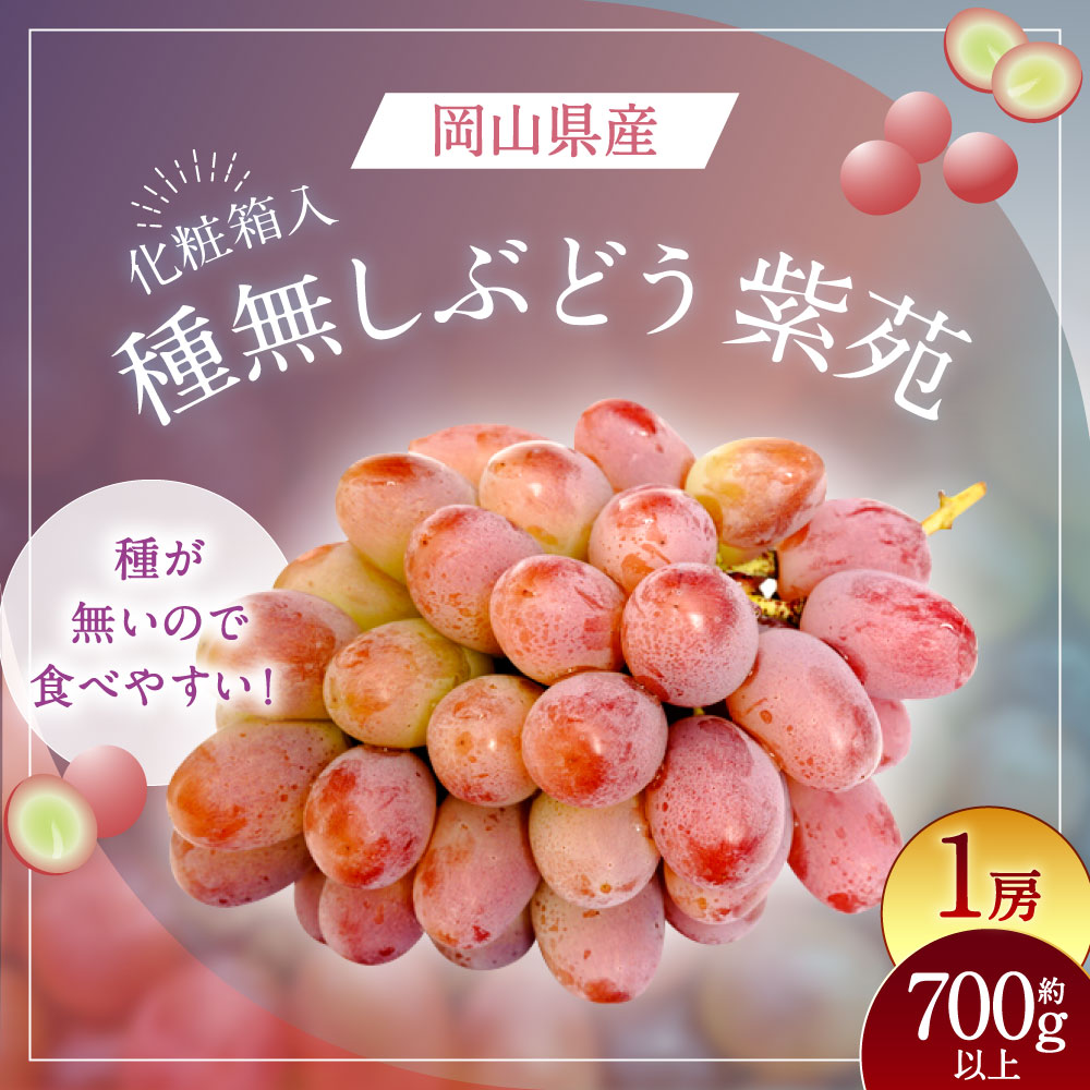 【ふるさと納税】紫苑 1房 700g以上 化粧箱入り ぶどう ブドウ 葡萄 くだもの 果物 果実 フルーツ ギフト 贈答 冷蔵 国産 岡山県 美咲町 送料無料 【2026年10月下旬～11月下旬まで発送予定】 サムネイル2