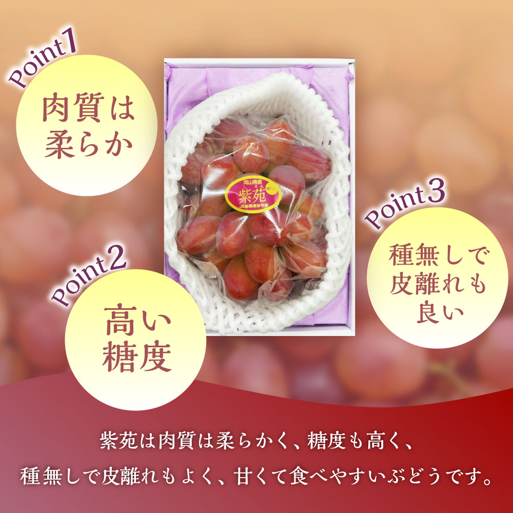 【ふるさと納税】紫苑 1房 700g以上 化粧箱入り ぶどう ブドウ 葡萄 くだもの 果物 果実 フルーツ ギフト 贈答 冷蔵 国産 岡山県 美咲町 送料無料 【2026年10月下旬～11月下旬まで発送予定】 サムネイル3