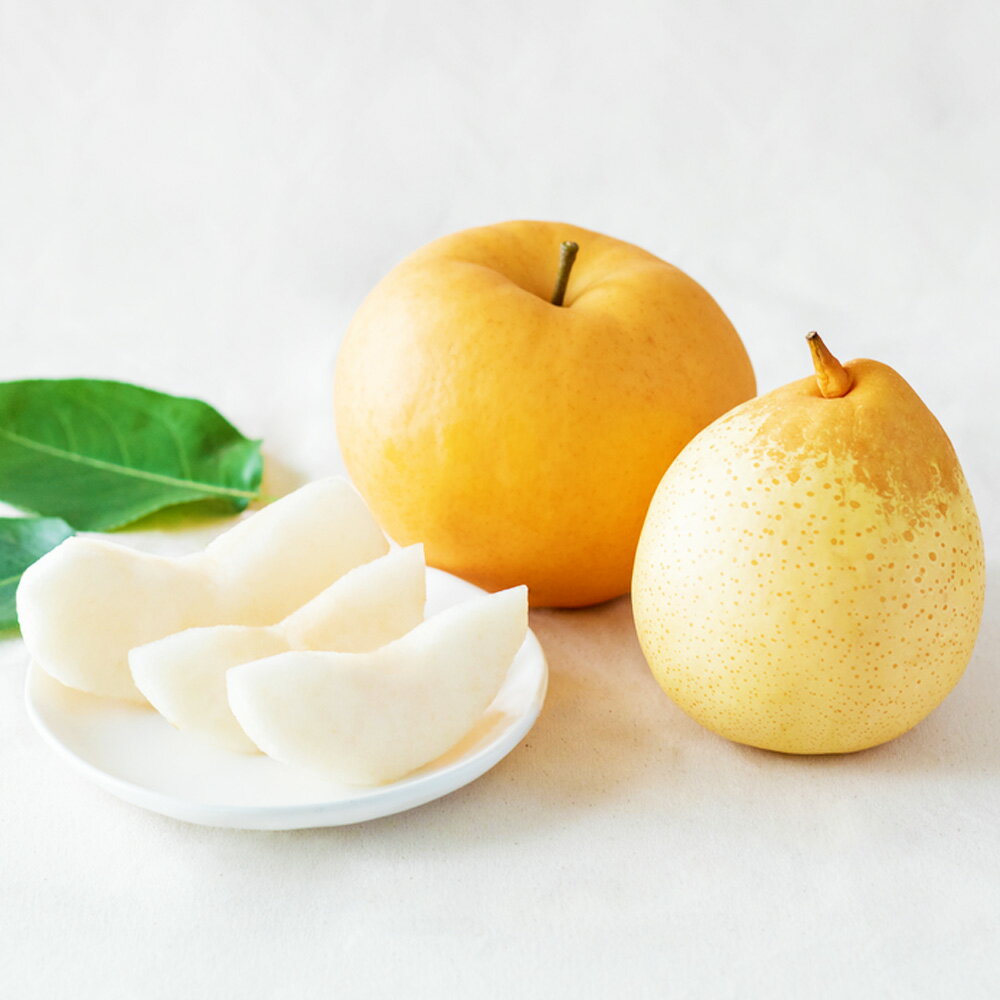 あたご梨 鴨梨（ヤーリー） 詰合せ 贈答箱 〈選べる〉 合計 約2kg～4.5kg 梨 和梨 愛宕梨 ヤーリー 旬 果物 フルーツ お取り寄せ デザート 選べる容量 詰め合わせ 食べ比べ ギフト 送料無料【2025年11月下旬-12月下旬発送予定】