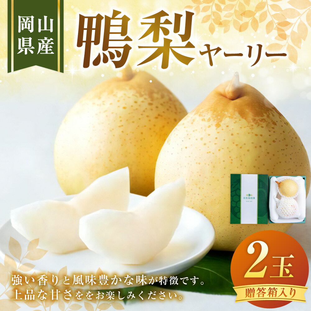 【ふるさと納税】鴨梨 ヤーリー 2玉 贈答箱 梨 なし ナシ フルーツ くだもの 果物 果実 岡山県産 岡山県 美咲町 送料無料 【2025年11月下旬～12月下旬発送予定】 サムネイル2