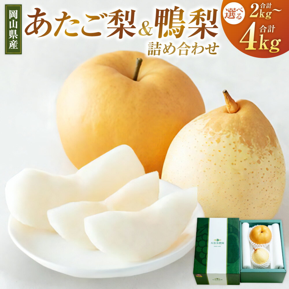 あたご梨・鴨梨（ヤーリー）詰合せ セット 〈選べる〉 合計 約2kg（贈答箱）または 合計約4kg（化粧箱） 愛宕梨 なし ナシ フルーツ くだもの 果物 果実 岡山県産 岡山県 美咲町 送料無料 【2025年11月下旬～12月下旬発送予定】
