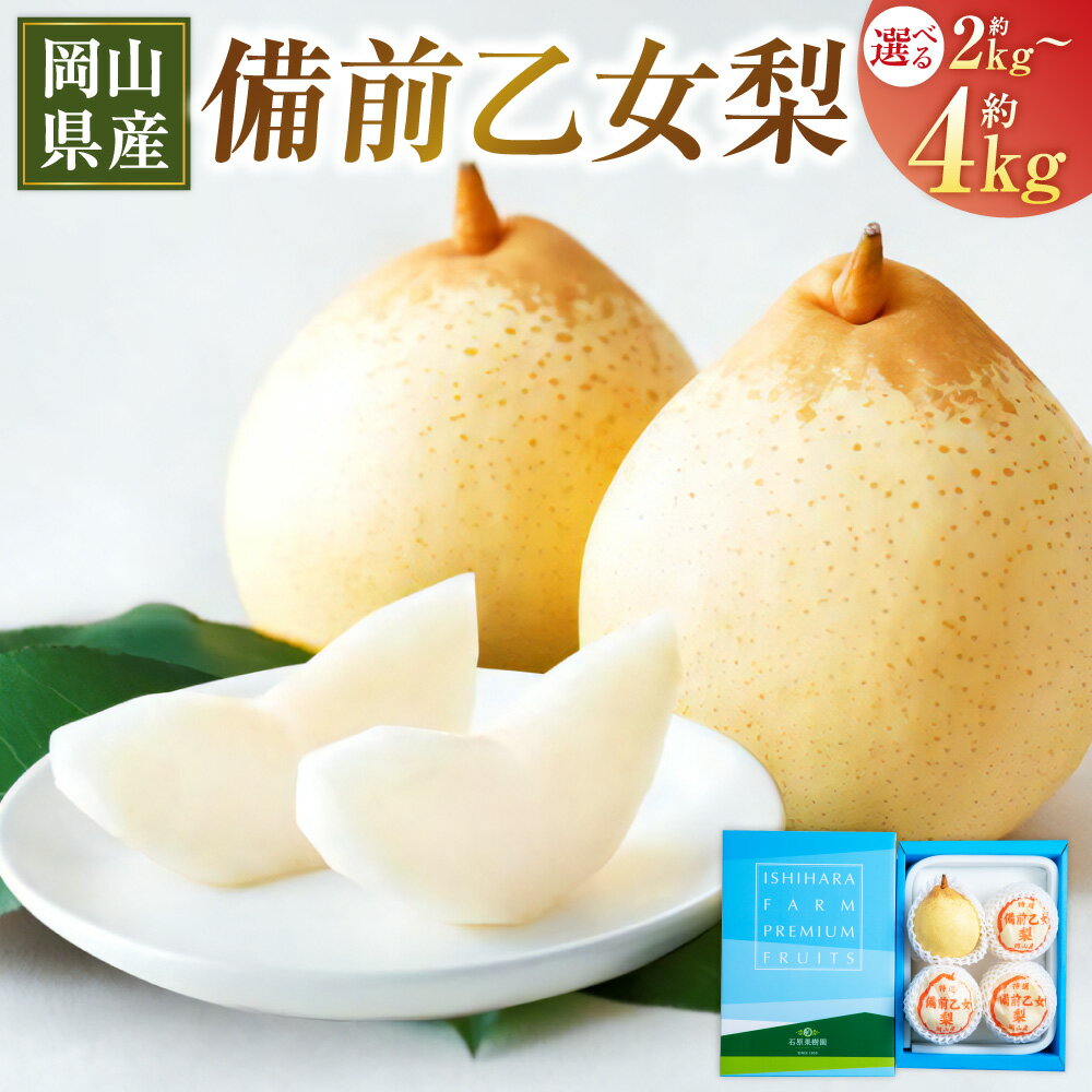 備前乙女梨 〈選べる〉約2kg（3～4玉）または 約3kg（5～6玉）または 約4kg（6～9玉） 梨 なし ナシ フルーツ くだもの 果物 果実 岡山県産 岡山県 美咲町 送料無料 【2025年11月下旬～12月下旬発送予定】