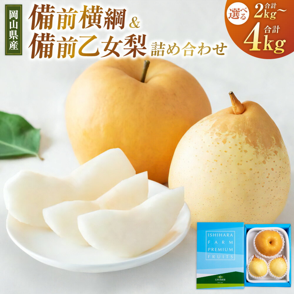 備前横綱・備前乙女梨 詰め合わせ セット〈選べる〉合計 約2kg または 合計 約3kg または 合計 約4kg 梨 なし ナシ フルーツ くだもの 果物 果実 岡山県産 岡山県 美咲町 送料無料 【2025年11月下旬～12月下旬発送予定】