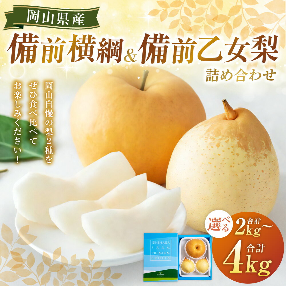 【ふるさと納税】備前横綱・備前乙女梨 詰め合わせ セット〈選べる〉合計 約2kg または 合計 約3kg または 合計 約4kg 梨 なし ナシ フルーツ くだもの 果物 果実 岡山県産 岡山県 美咲町 送料無料 【2025年11月下旬～12月下旬発送予定】 サムネイル2