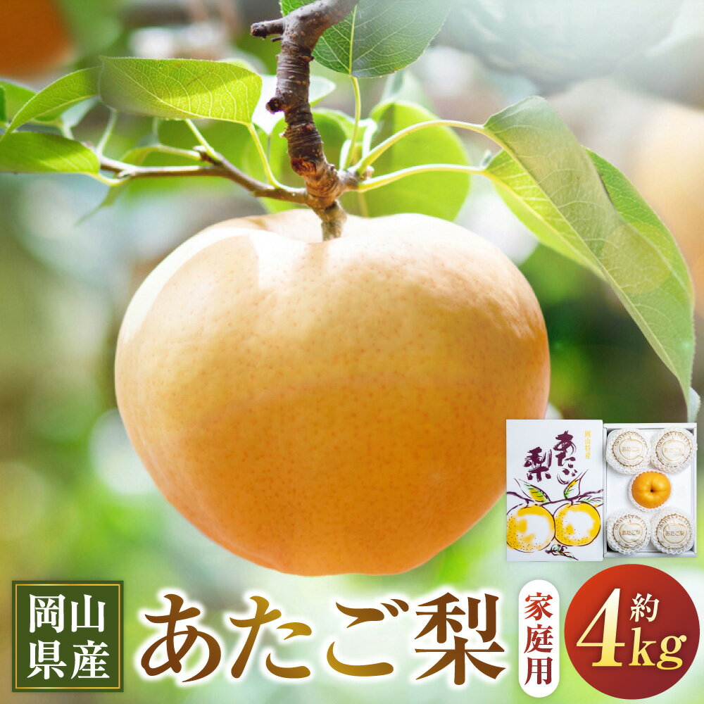 あたご梨 約4kg 3～9玉 家庭用 愛宕梨 なし ナシ フルーツ くだもの 果物 果実 岡山県産 岡山県 美咲町 送料無料 【2025年11月下旬～12月下旬発送予定】