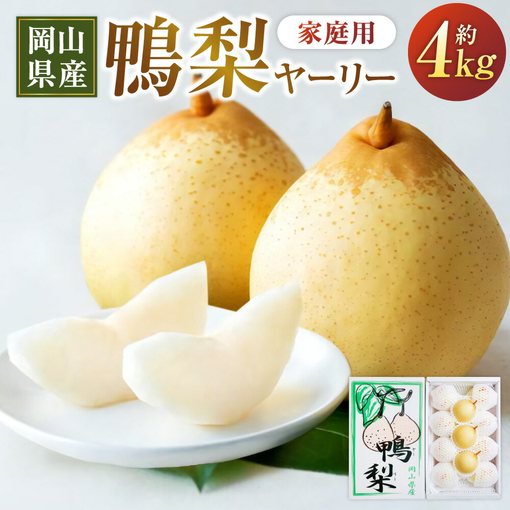 鴨梨 ヤーリー 約4kg 6～13玉 家庭用 なし ナシ フルーツ くだもの 果物 果実 岡山県産 岡山県 美咲町 送料無料 【2025年11月下旬～12月下旬発送予定】