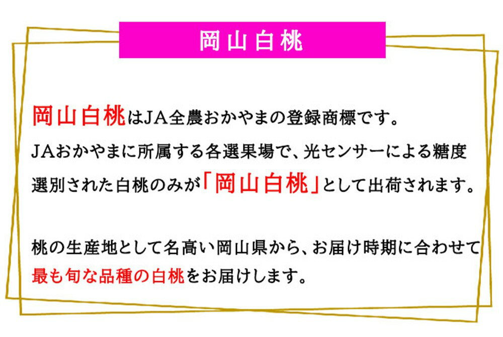 【ふるさと納税】岡山白桃 ロイヤル〈選べる 容量〉約600g(3玉) / 約1kg(4〜6玉) / 約1.2kg(4〜8玉) / 約2kg(5〜10玉) / 約4kg(8〜16玉) 桃 白桃 もも モモ ピーチ 果物 フルーツ デザート おやつ お取り寄せ 岡山県産 送料無料【2026年7月上旬～8月下旬迄発送予定】 サムネイル3