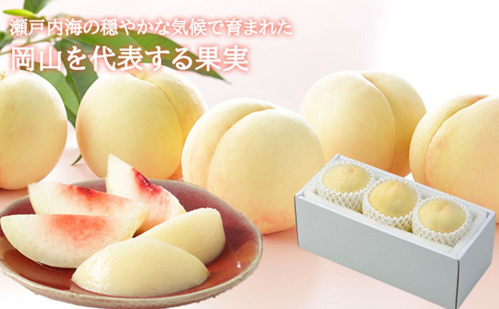 【ふるさと納税】岡山白桃 エース〈選べる 容量〉約600g(3玉) / 約1kg(4〜6玉) / 約1.2kg(4〜8玉) / 約2kg(5〜10玉) / 約4kg(8〜16玉) 桃 白桃 もも モモ ピーチ 果物 フルーツ デザート おやつ お取り寄せ 岡山県産 送料無料【2026年7月上旬～8月下旬迄発送予定】 サムネイル2