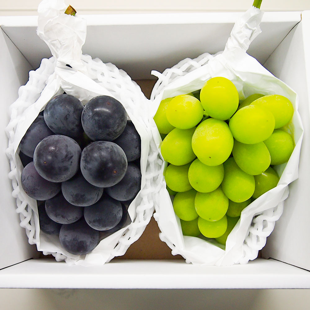 【ふるさと納税】大粒 ぶどう 2種 セット シャインマスカット 他 2房 約1.2kg ピオーネ または クイーンニーナ マスカット ぶどう 種なし 果物 くだもの フルーツ 詰め合わせ 常温 岡山県 美咲町 送料無料【2025年10月上旬～12月上旬発送予定】 サムネイル3