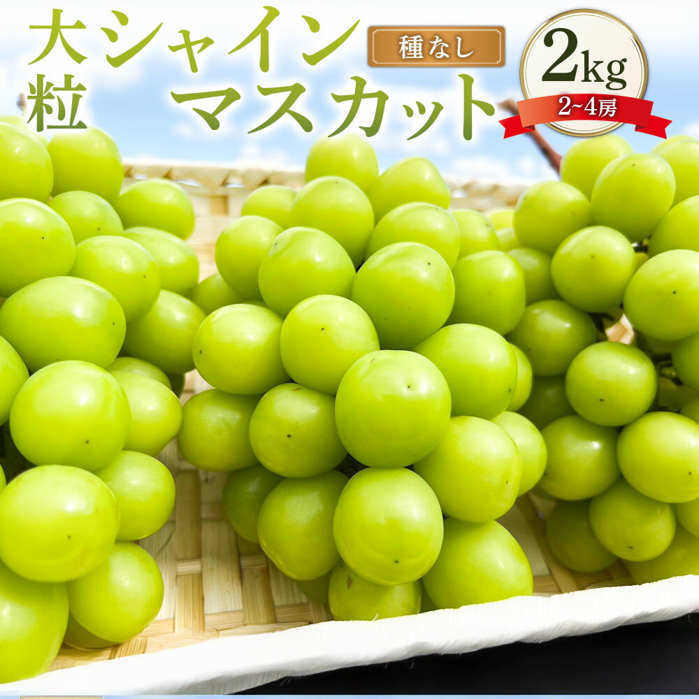 大粒 シャインマスカット 2～4房 約2kg マスカット ぶどう ブドウ 葡萄 種なし 果物 くだもの フルーツ おやつ デザート 常温 岡山県産 岡山県 美咲町 送料無料【2025年10月上旬～12月上旬発送予定】