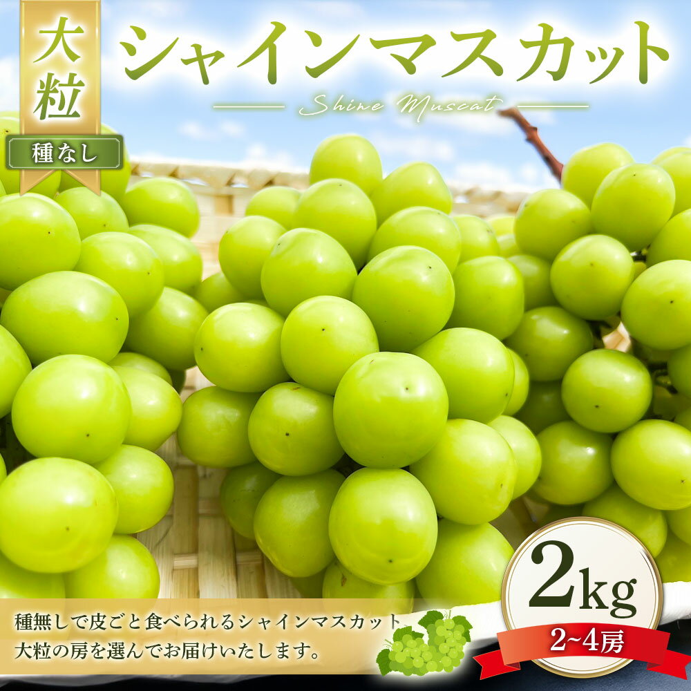 【ふるさと納税】大粒 シャインマスカット 2～4房 約2kg マスカット ぶどう ブドウ 葡萄 種なし 果物 くだもの フルーツ おやつ デザート 常温 岡山県産 岡山県 美咲町 送料無料【2025年10月上旬～12月上旬発送予定】 サムネイル2
