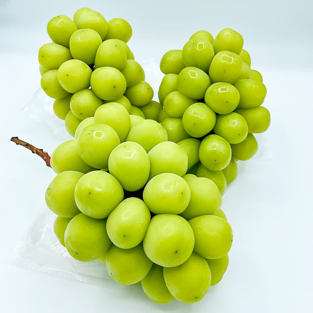 【ふるさと納税】大粒 シャインマスカット 2～4房 約2kg マスカット ぶどう ブドウ 葡萄 種なし 果物 くだもの フルーツ おやつ デザート 常温 岡山県産 岡山県 美咲町 送料無料【2025年10月上旬～12月上旬発送予定】 サムネイル3