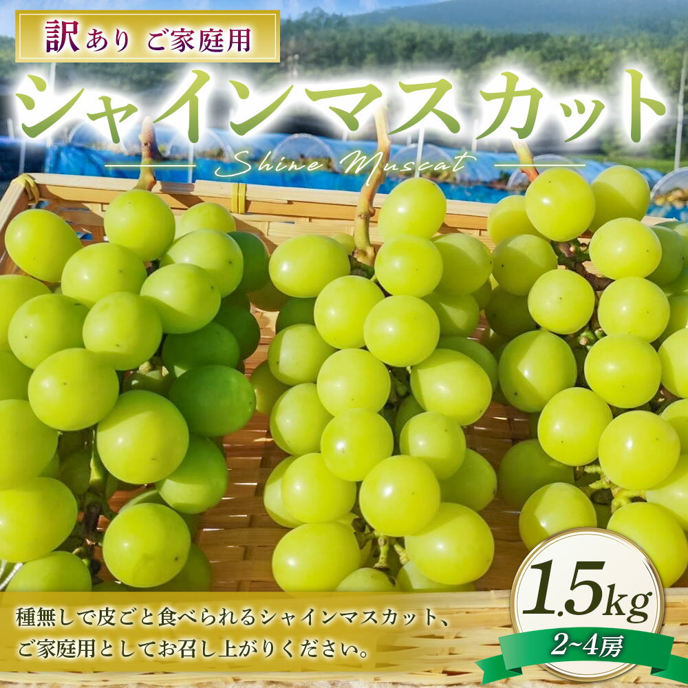 【ふるさと納税】訳あり シャインマスカット 2～4房 約1.5kg ご家庭用 マスカット ぶどう ブドウ 葡萄 種なし 果物 くだもの フルーツ 詰め合わせ おやつ デザート 常温 岡山県産 岡山県 美咲町 送料無料【2025年10月上旬～12月上旬発送予定】 サムネイル2