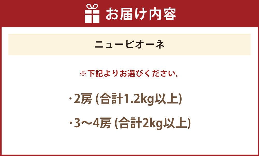 【ふるさと納税】＜選べる容量＞ ぶどう ニュー ピオーネ 2房 （合計1.2kg以上） ／ 3～4房 （合計2kg以上） 2026年 先行予約 ブドウ 葡萄 ニューピオーネ 岡山県産 国産 フルーツ 果物 ギフト 河本農園 岡山県 美咲町 冷蔵 送料無料 【2026年8月下旬発送予定】 サムネイル2