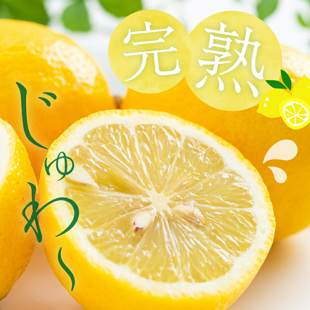 【ふるさと納税】上神農園 の 広島県産 レモン 約1kg / 約2.5kg / 約5kg【2025年11月～発送】内容量が選べる 旬 フルーツ 果物 柑橘 産地直送 イエローレモン レモンサワー カクテル 料理 スイーツ ケーキ 疲労回復 おすすめ 贈答 贈り物 成人式 年末 年始 国産 広島県 呉市 サムネイル2