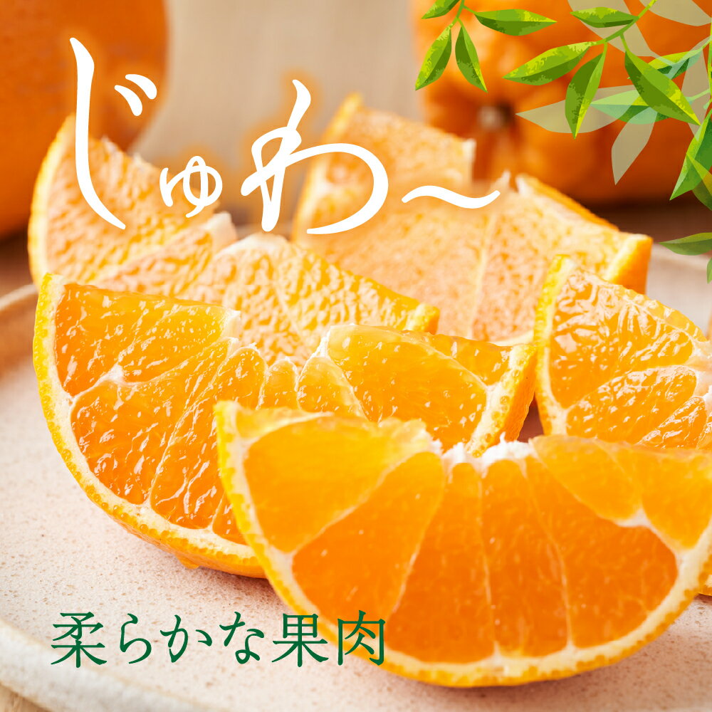 【ふるさと納税】先行予約 上神農園の島デコちゃん しらぬい【内容量が選べる】約5kg / 約10kg 【2026年2月～発送】みかん 蜜柑 フルーツ 果物 柑橘 ビタミンC お取り寄せ 国産 国内産 不知火 オレンジ 果汁 完熟 甘い スイーツ お菓子 大長 瀬戸内海 広島県 呉市 サムネイル2