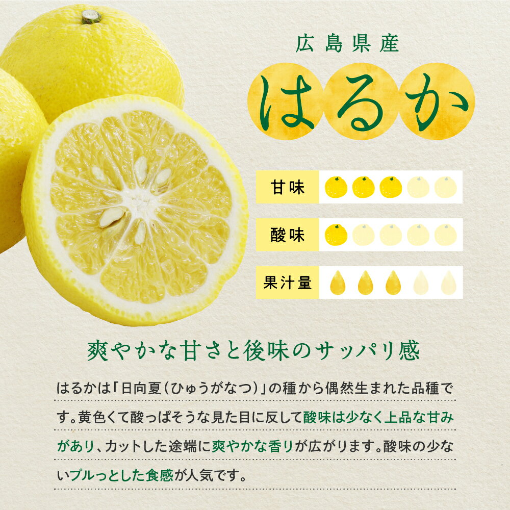 【ふるさと納税】 先行予約 上神農園 の はるか 約 5kg / 約 10kg【2026年2月下旬～発送】ミカン 蜜柑 フルーツ 果物 柑橘 お取り寄せグルメ 先行受付 爽やか 酸味 甘い さっぱり 日向夏 果肉 ジューシー 果汁 マーマレード 皮まで食べられる 国産 送料無料 広島県 呉市 サムネイル3