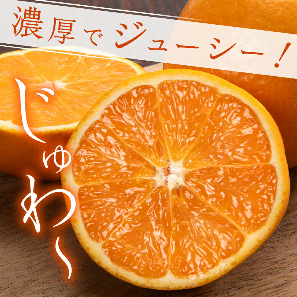 【ふるさと納税】 先行予約 上神農園 の 清見オレンジ 約 5kg / 約 10kg【2026年3月上旬～発送】ミカン 蜜柑 フルーツ 果物 柑橘 ビタミンC お取り寄せ 産地直送 国産 国内産 オレンジ 果汁 たっぷり ジューシー 甘い 爽やか 温州みかん 瀬戸内海 清見 先行受付 広島県 呉市 サムネイル2