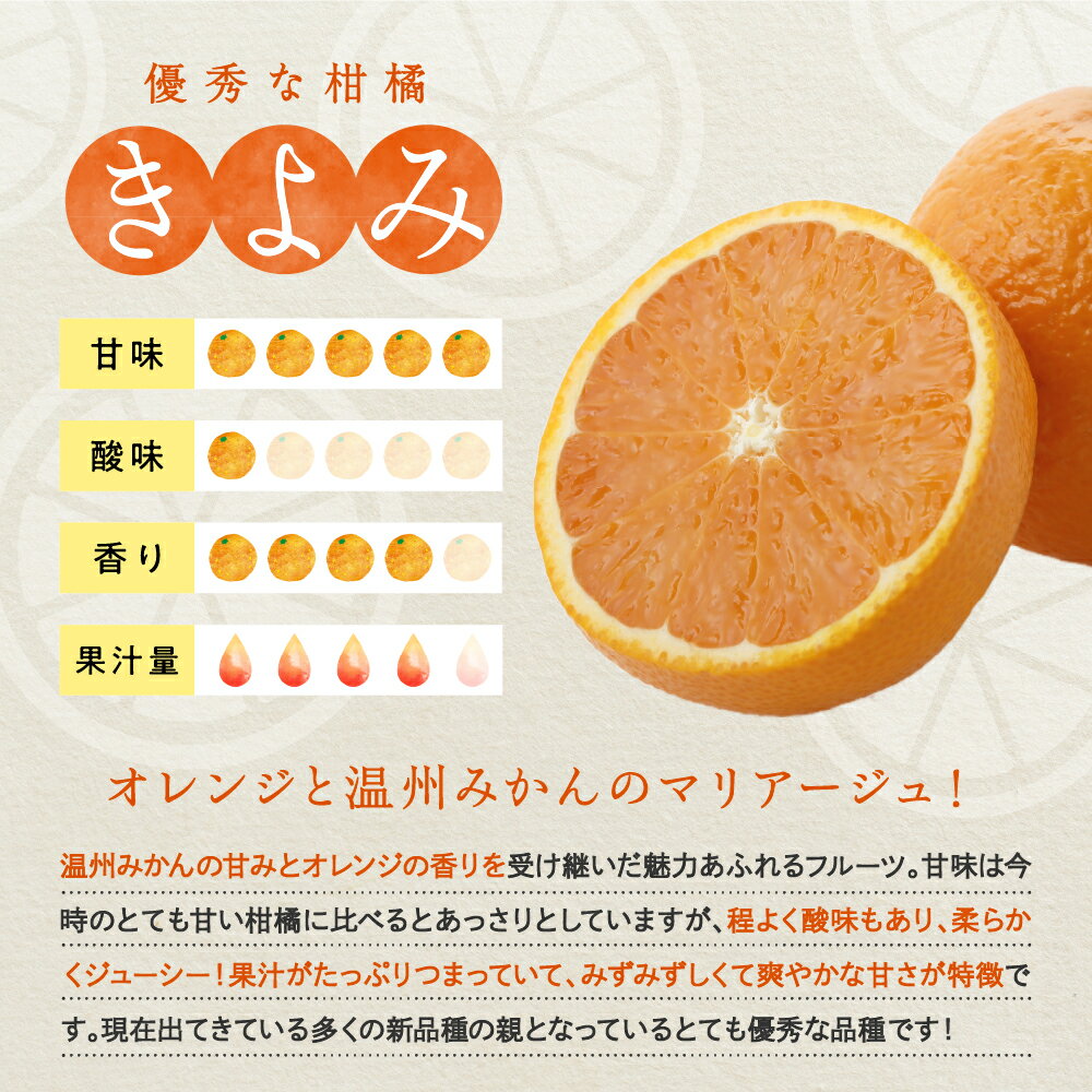 【ふるさと納税】 先行予約 上神農園 の 清見オレンジ 約 5kg / 約 10kg【2026年3月上旬～発送】ミカン 蜜柑 フルーツ 果物 柑橘 ビタミンC お取り寄せ 産地直送 国産 国内産 オレンジ 果汁 たっぷり ジューシー 甘い 爽やか 温州みかん 瀬戸内海 清見 先行受付 広島県 呉市 サムネイル3