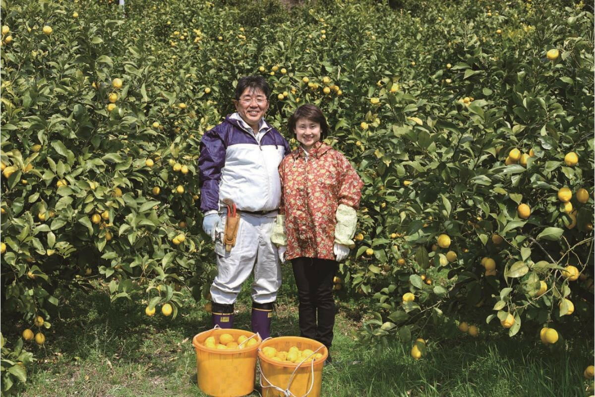 【ふるさと納税】先行予約 ジュース用 レモン 約 2.5kg / 約 5kg / 約 10kg【2025年11月～発送】 檸檬 柑橘 果物 フルーツ レモネード お取り寄せ 栽培期間中低農薬 防腐剤不使用 ワックス不使用 ジューシー 果汁 レモン汁 レモン飲料 産地直送 数量限定 お試し 広島県 呉市 サムネイル2