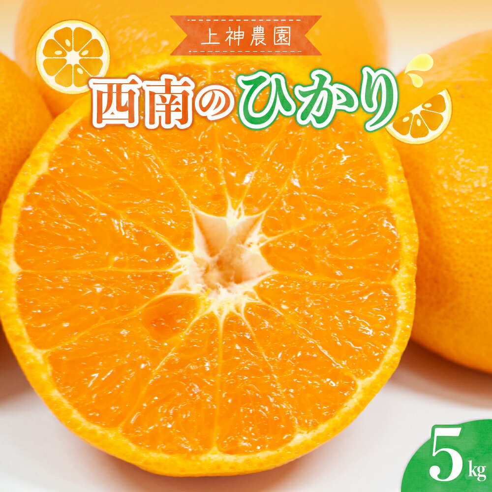 先行予約 上神農園の 西南のひかり 約5kg 【2025年12月上旬～発送】人気 みかん ひかり 柑橘 果物 フルーツ お取り寄せ ジューシー 甘い 糖度高め 2009年 品種 登録 多汁 香り 果汁 果肉 多果汁 甘味 さわやか 健康 広島県 呉市
