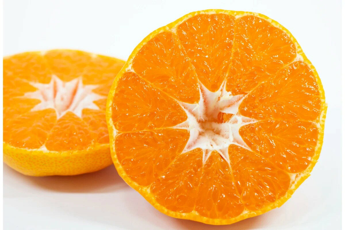 【ふるさと納税】先行予約 上神農園の 西南のひかり 約5kg 【2025年12月上旬～発送】人気 みかん ひかり 柑橘 果物 フルーツ お取り寄せ ジューシー 甘い 糖度高め 2009年 品種 登録 多汁 香り 果汁 果肉 多果汁 甘味 さわやか 健康 広島県 呉市 サムネイル3