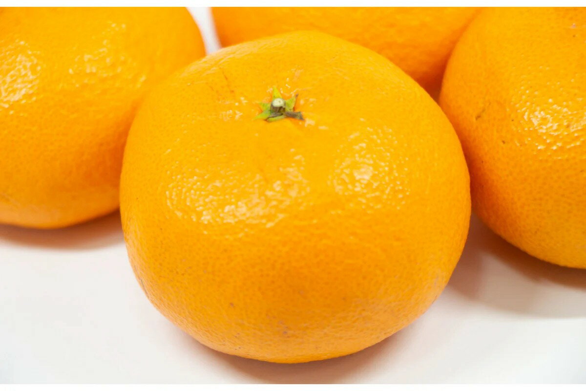 【ふるさと納税】先行予約 上神農園の 西南のひかり 約5kg 【2025年12月上旬～発送】人気 みかん ひかり 柑橘 果物 フルーツ お取り寄せ ジューシー 甘い 糖度高め 2009年 品種 登録 多汁 香り 果汁 果肉 多果汁 甘味 さわやか 健康 広島県 呉市 サムネイル2