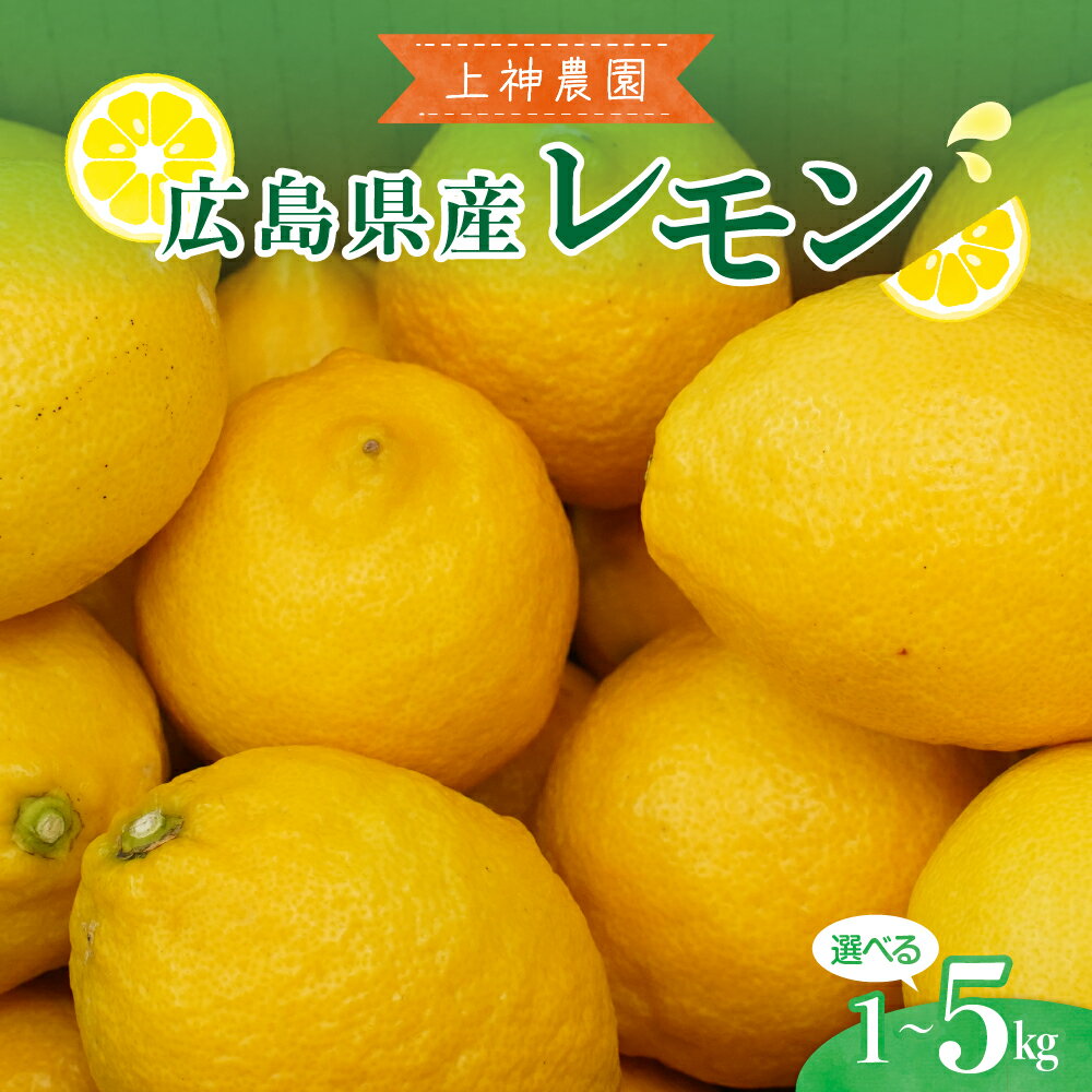 上神農園 の 広島県産 レモン 約1kg / 約2.5kg / 約5kg【2025年11月～発送】内容量が選べる 旬 フルーツ 果物 柑橘 産地直送 イエローレモン レモンサワー カクテル 料理 スイーツ ケーキ 疲労回復 おすすめ 贈答 贈り物 成人式 年末 年始 国産 広島県 呉市