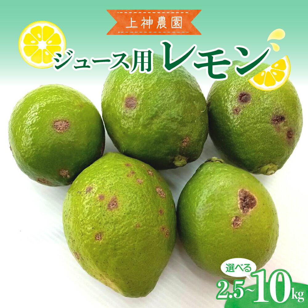 先行予約 ジュース用 レモン 約 2.5kg / 約 5kg / 約 10kg【2025年11月～発送】 檸檬 柑橘 果物 フルーツ レモネード お取り寄せ 栽培期間中低農薬 防腐剤不使用 ワックス不使用 ジューシー 果汁 レモン汁 レモン飲料 産地直送 数量限定 お試し 広島県 呉市