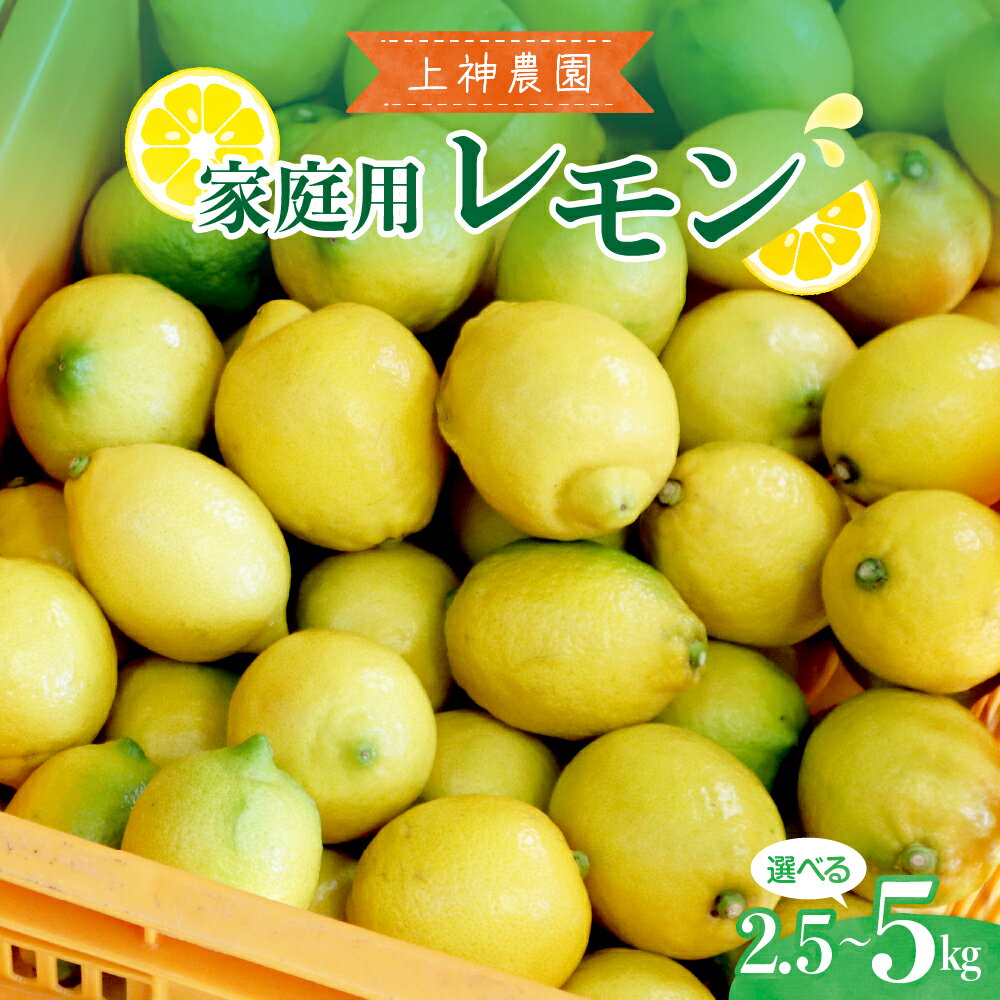 家庭用 広島産 レモン 選べる 約2.5kg / 約5kg【2025年11月～発送】 レモン 檸檬 柑橘 果物 フルーツ レモネード お取り寄せ ジューシー 栽培期間中低農薬 防腐剤不使用 ワックス不使用 広島県 呉市 酸味 爽やか 数量限定 お試し 瀬戸内海 広島県 呉市