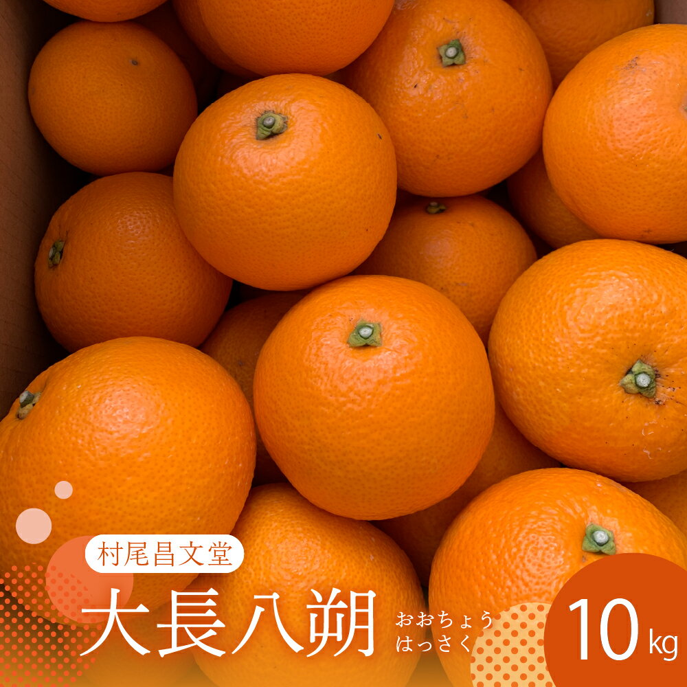 【 2026年 2月 上旬～発送】瀬戸内 大崎下島産 大長八朔 10kg 先行予約 はっさく 八朔 みかん ミカン 柑橘 果物 フルーツ 甘い ジューシー 産地直送 お取り寄せ 常温配送 送料無料 大容量 数量限定 期間限定 瀬戸内 広島県 呉市