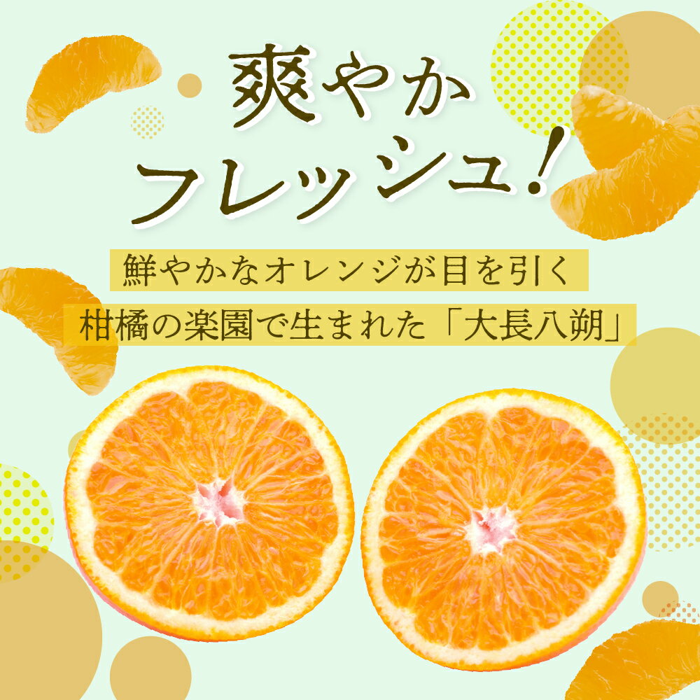 【ふるさと納税】【 2026年 2月 上旬～発送】瀬戸内 大崎下島産 大長八朔 10kg 先行予約 はっさく 八朔 みかん ミカン 柑橘 果物 フルーツ 甘い ジューシー 産地直送 お取り寄せ 常温配送 送料無料 大容量 数量限定 期間限定 瀬戸内 広島県 呉市 サムネイル2