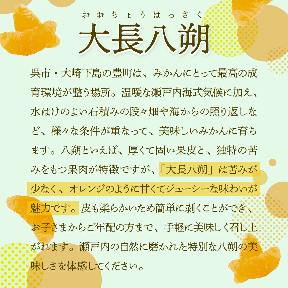 【ふるさと納税】【 2026年 2月 上旬～発送】瀬戸内 大崎下島産 大長八朔 10kg 先行予約 はっさく 八朔 みかん ミカン 柑橘 果物 フルーツ 甘い ジューシー 産地直送 お取り寄せ 常温配送 送料無料 大容量 数量限定 期間限定 瀬戸内 広島県 呉市 サムネイル3