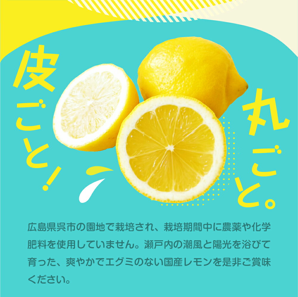 【ふるさと納税】 2025年 12月 上旬～発送【栽培期間中 農薬不使用】有機JAS認証 皮まで美味しい 希少な国産オーガニックレモン 約1kg / 約2kg / 約4kg / 内容量が選べる れもん lemon フルーツ 果物 柑橘 産地直送 12月初旬までグリーンレモン 国産 広島県 呉市 サムネイル2