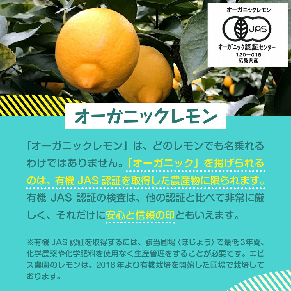 【ふるさと納税】 2025年 12月 上旬～発送【栽培期間中 農薬不使用】有機JAS認証 皮まで美味しい 希少な国産オーガニックレモン 約1kg / 約2kg / 約4kg / 内容量が選べる れもん lemon フルーツ 果物 柑橘 産地直送 12月初旬までグリーンレモン 国産 広島県 呉市 サムネイル3